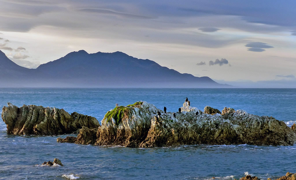 Kaikoura coastline with some birds on rocks off the coast in the foreground