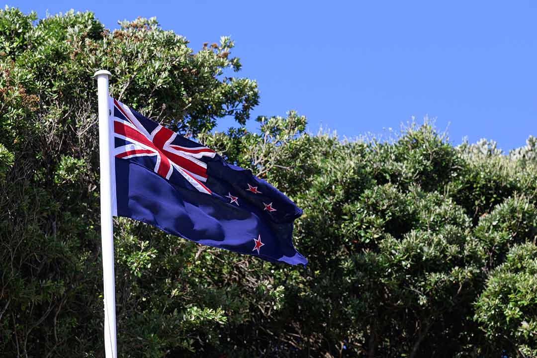 The New Zealand flag flying in front of a pōhutukawa tree