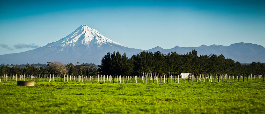 Mt Taranaki rising up behind some green fields and wooded area