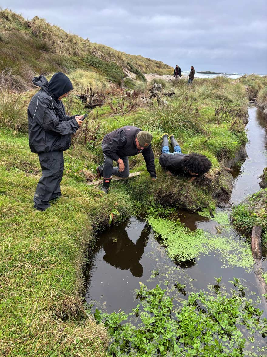 Three people dressed in waterproof clothing and gumboots are looking down into a creek. Past long grasses, a beach can be seen in the distance.
