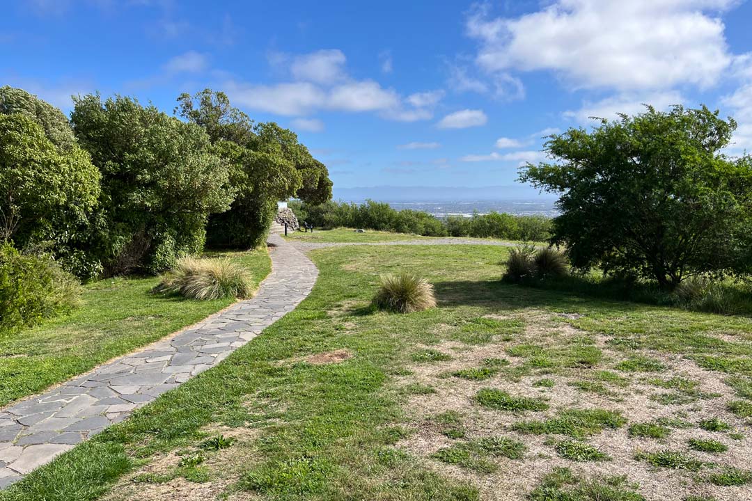 Grassy area in park with a path curving to the left and a few trees. City can be seen in far distance.