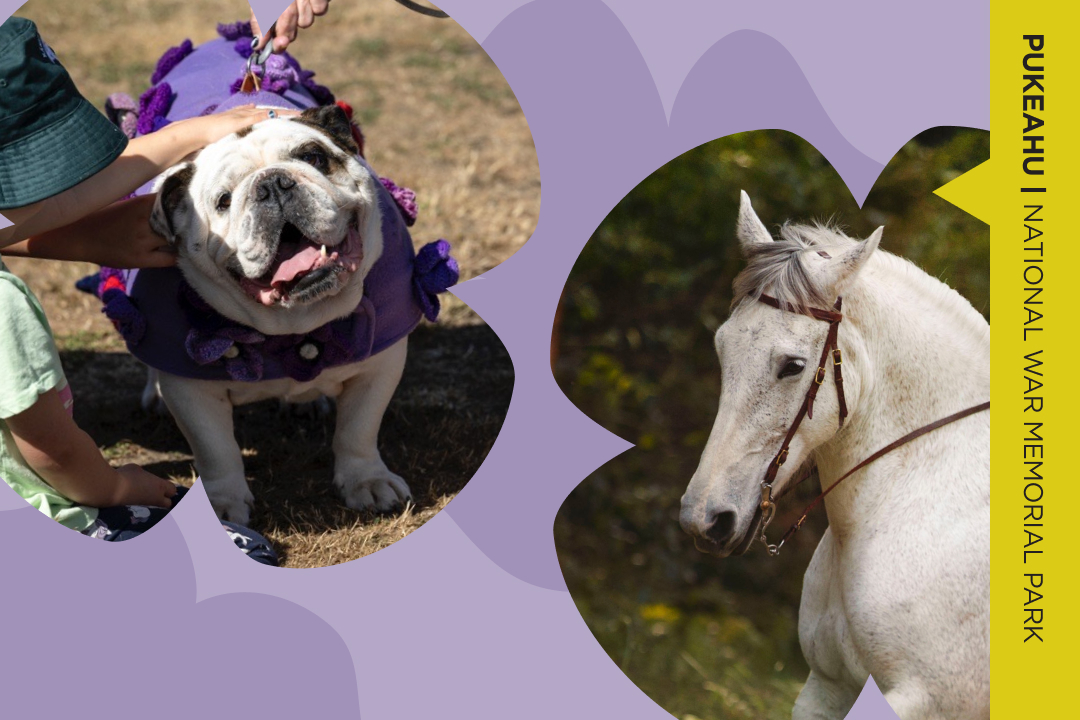 Dog and horse set against a purple and yellow background