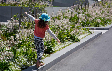 A child balancing on a low concrete ledge next to planted flowers at Pukeahu