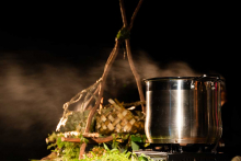 Matariki hautapu ceremony