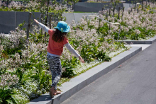 A child balancing on a low concrete ledge next to planted flowers at Pukeahu