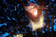 Two light installation pieces attached to tree branches at Pukeahu