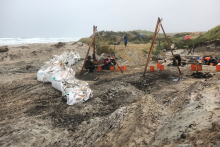 Waka excavation site at the Chatham Island featuring tools on top of the sandy surface